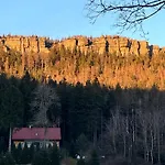 W Lesie Kudowa-Zdrój