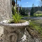 W Lesie Guest house