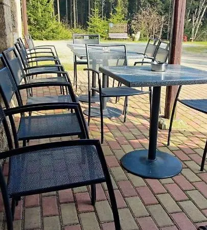 W Lesie Kudowa-Zdrój