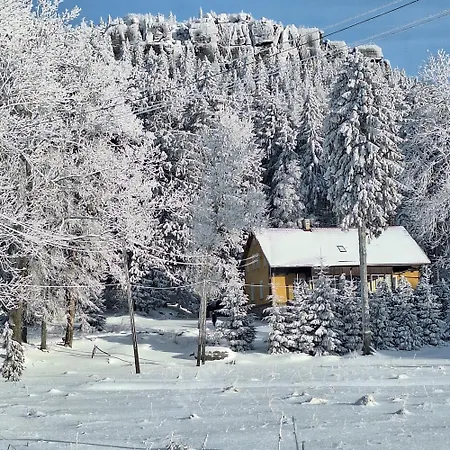 W Lesie Kudowa-Zdrój