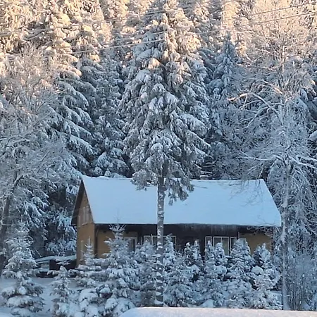 W Lesie * Kudowa-Zdrój