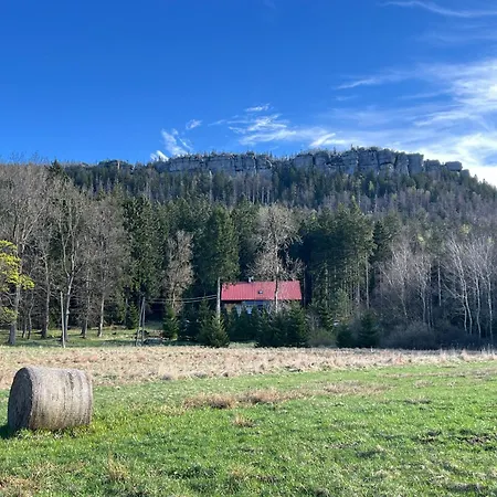 Pensjonat W Lesie Kudowa-Zdrój