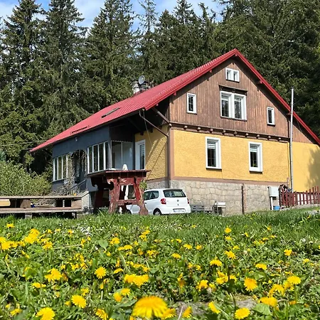 W Lesie * Kudowa-Zdrój