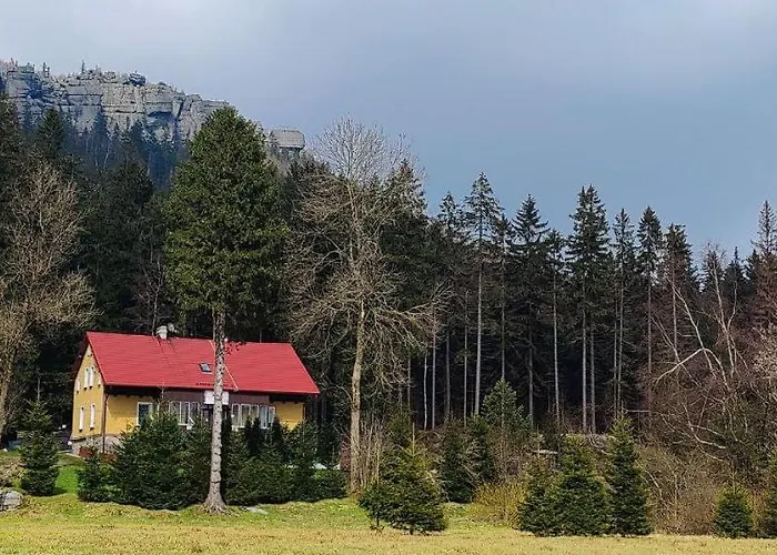 W Lesie * Kudowa Zdroj