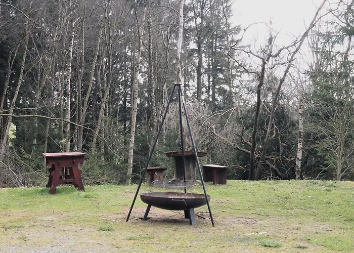 W Lesie Kudowa-Zdrój