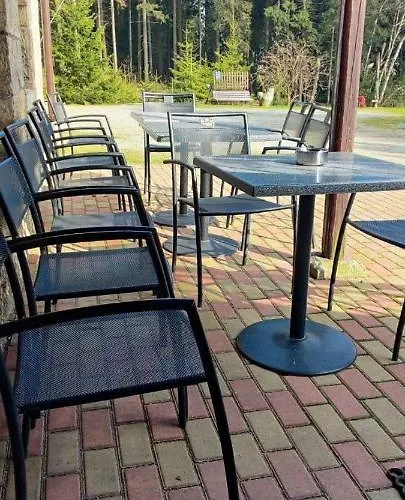 W Lesie Kudowa Zdroj