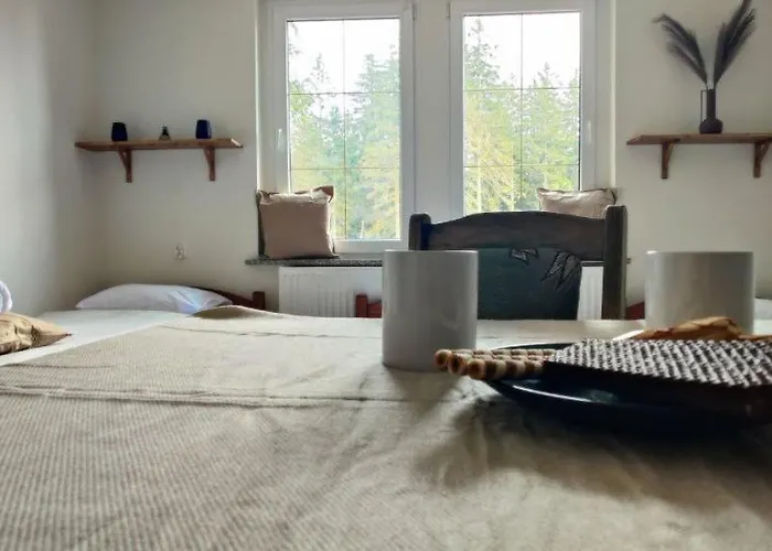 W Lesie Kudowa Zdroj