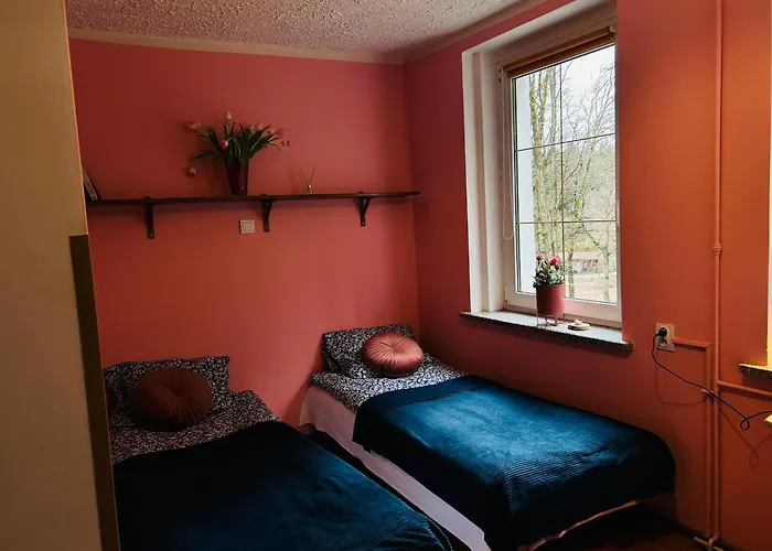 W Lesie * Kudowa Zdroj