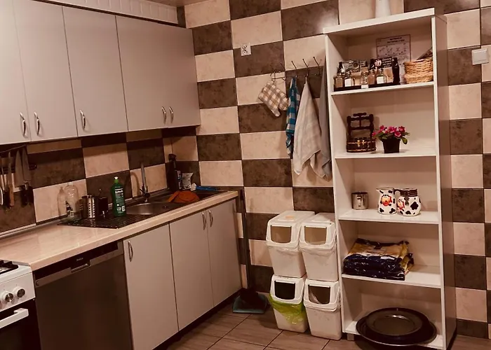 W Lesie Kudowa Zdroj