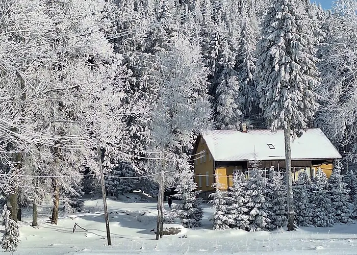 W Lesie Kudowa Zdroj