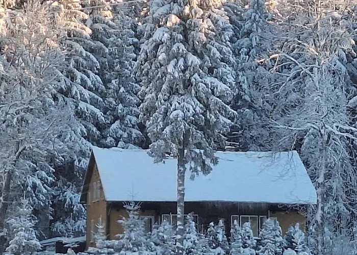 W Lesie * Kudowa Zdroj