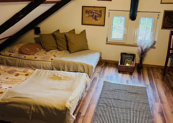 Guest house W Lesie Kudowa Zdroj