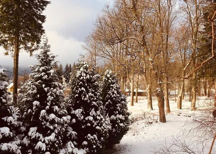 W Lesie Guest house *