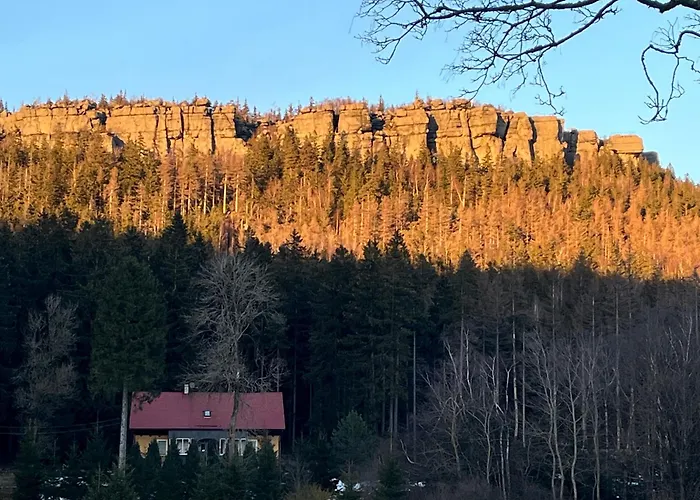 W Lesie Kudowa Zdroj