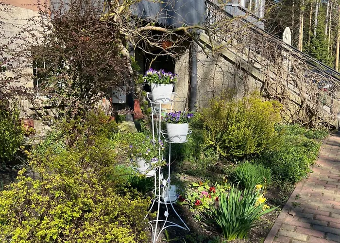 W Lesie Guest house *