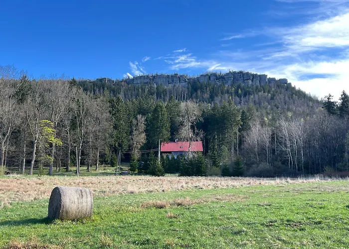 Guest house W Lesie Kudowa Zdroj