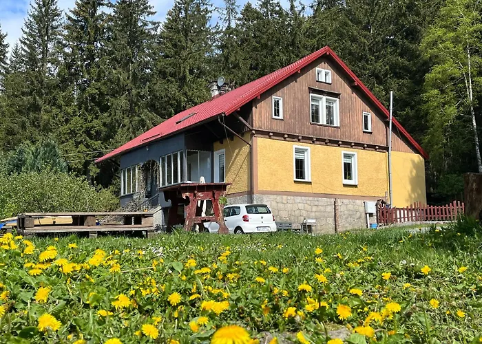 W Lesie * Kudowa Zdroj