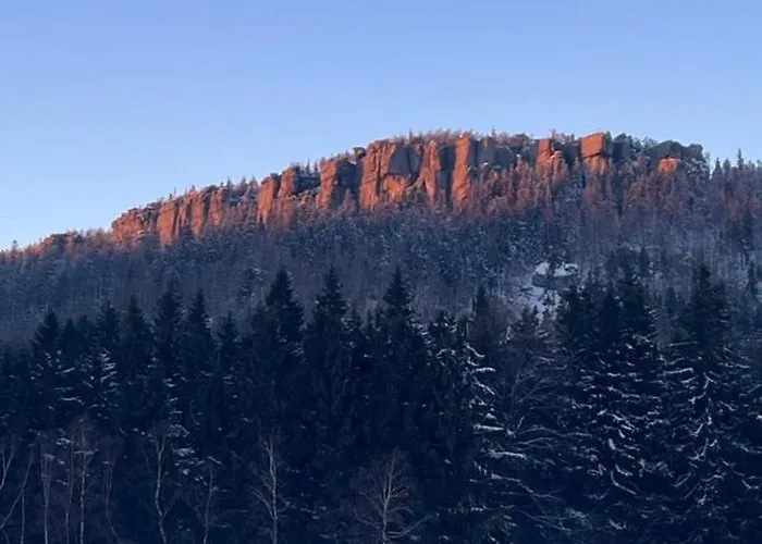 W Lesie Guest house *