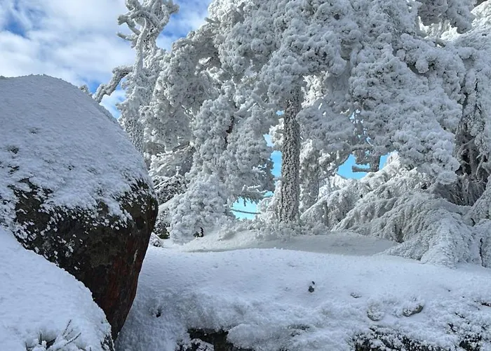 W Lesie Guest house Kudowa Zdroj